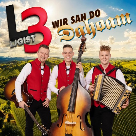 Wir san do Dahoam | Boomplay Music