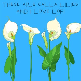 These Are Calla Lilies and i Love Lofi