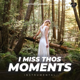 I Miss Thos Moments (Instrumental)