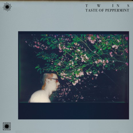 Taste of Peppermint | Boomplay Music