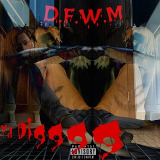 D.F.W.M