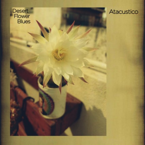 Desert Flower Blues | Boomplay Music