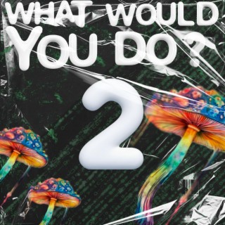 What would you do? 2