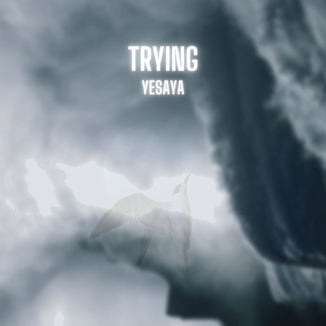 Trying | Boomplay Music