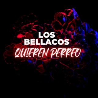 Los bellacos quieren perreo