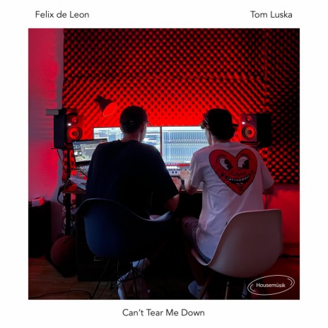 Can't Tear Me Down ft. Tom Luska & Housemüsik | Boomplay Music