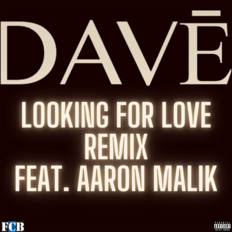 Looking For Love (Remix) ft. Aaron Malik | Boomplay Music