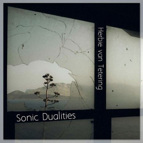 Sonic Dualities | Boomplay Music