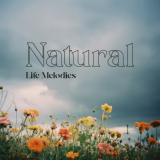 Natural Life Melodies: Soothing Nature Sounds And Relaxing Piano Music | Meditation, Yoga, Reiki, Spa