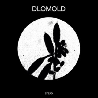 DLOMOLD