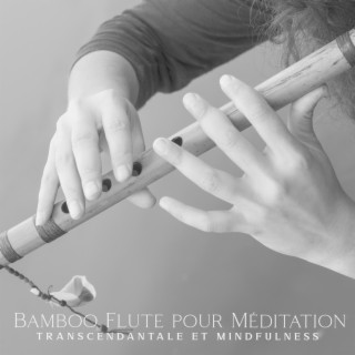 Bamboo Flute pour Méditation Transcendantale et Mindfulness (Musique Asiatique)