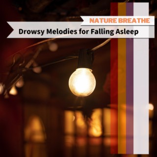 Drowsy Melodies for Falling Asleep