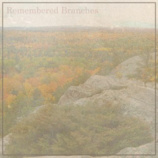 remembered branches