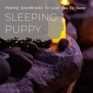 Healing Soundtracks to Lead You to Sleep