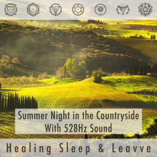 Summer Night in the Countryside with 528hz Sound