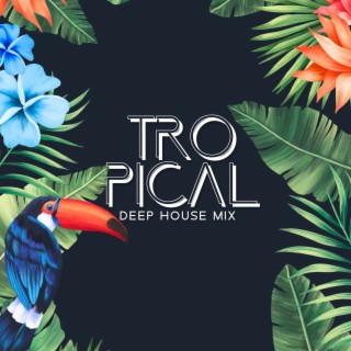 Tropical Deep House Mix: Holiday Chill Out Music Selection, Ibiza Beach Party Hits