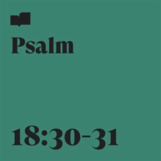 Psalm 18:30-31