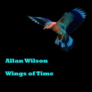 Wings of Time