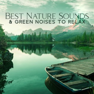 Best Nature Sounds & Green Noises To Relax