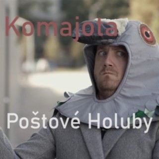 Poštové holuby