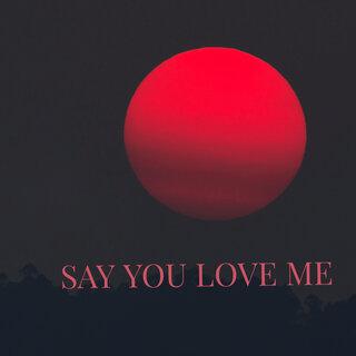 Say You Love Me