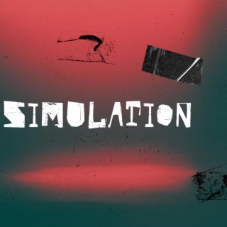 Simulation