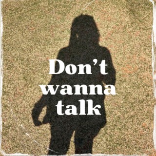 Don't Wanna Talk