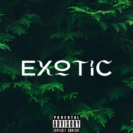 Exotic ft. Jayythree