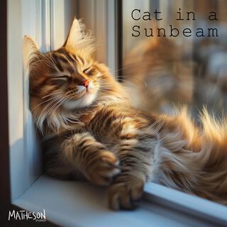 Cat in a Sunbeam