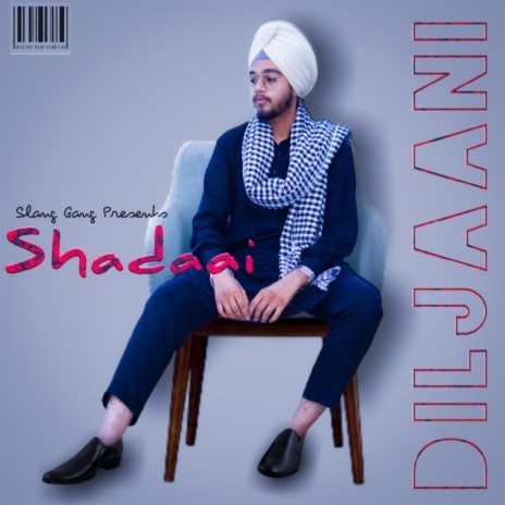 Shadaai ft. Diljaani | Boomplay Music