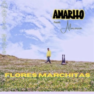 Flores marchitas