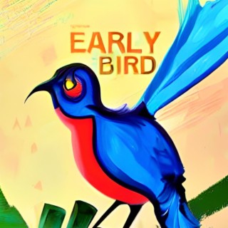 Early Bird