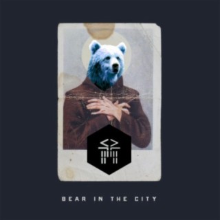 Bear In The City