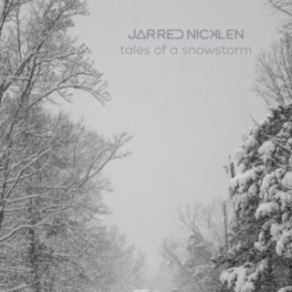 Tales Of A Snowstorm