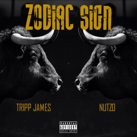 Zodiac Sign ft. Nutzo | Boomplay Music