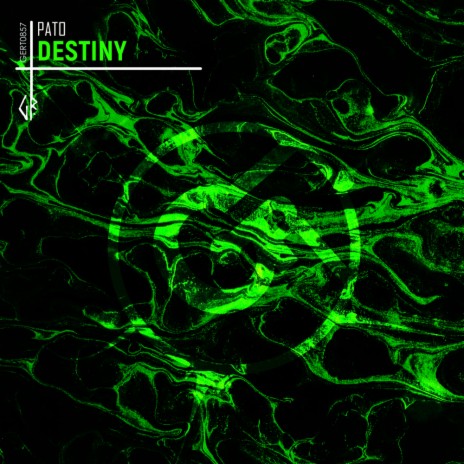 Destiny (Radio Edit) | Boomplay Music