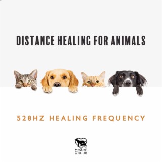 Distance Healing for Animals: 528hz Healing Frequency to Heal Pets on Mental, Emotional and Spiritual Level