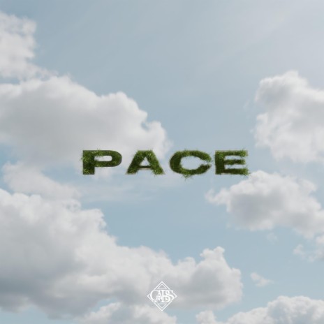 Pace ft. Reio | Boomplay Music