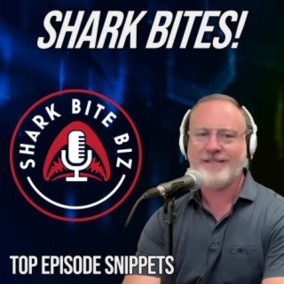 Shark Bites: Strategies to Shatter Proof a Business