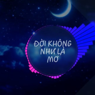 Đời Không Như Là Mơ (Remix)