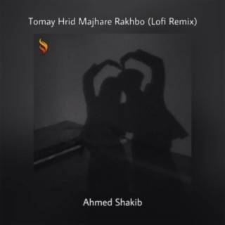 Tomay Hrid Majhare Rakhbo (Lofi Remix)