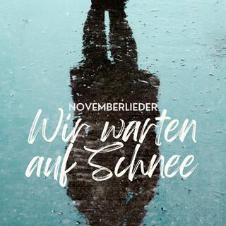 Wir warten auf Schnee lyrics | Boomplay Music