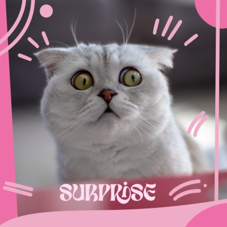 surprise | Boomplay Music