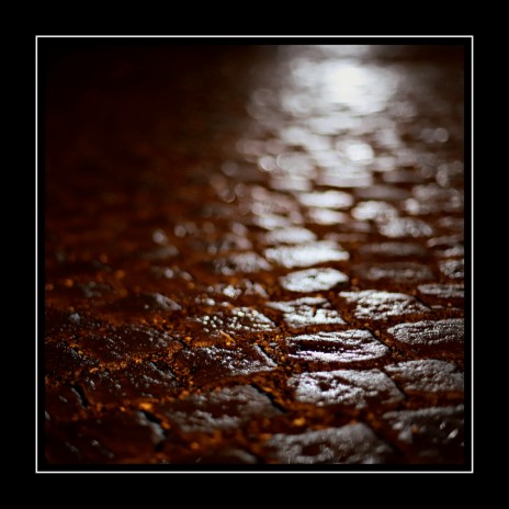 Rain Falling on a Street