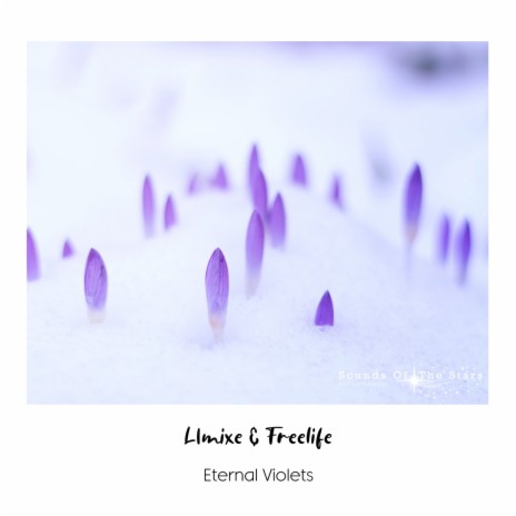 Eternal Violets (Intro Mix) ft. Freelife | Boomplay Music