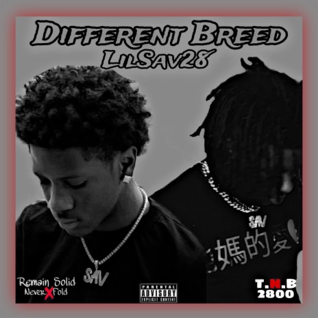 Different Breed | Boomplay Music