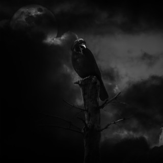 Raven's Lament