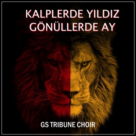 Kalplerde Yıldız Gönüllerde Ay | Boomplay Music