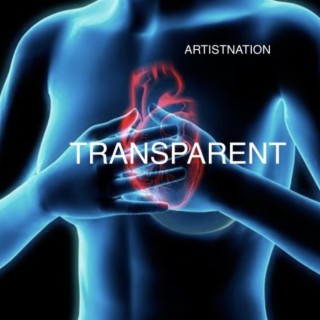 TRANSPARENT lyrics | Boomplay Music