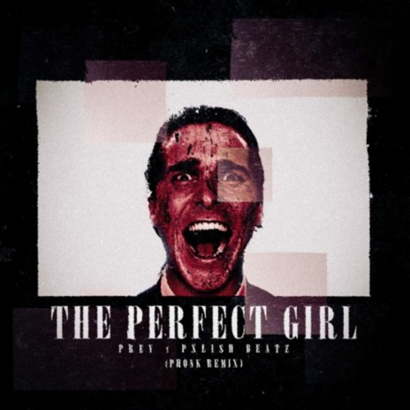 THE PERFECT GIRL ft. -Prey | Boomplay Music